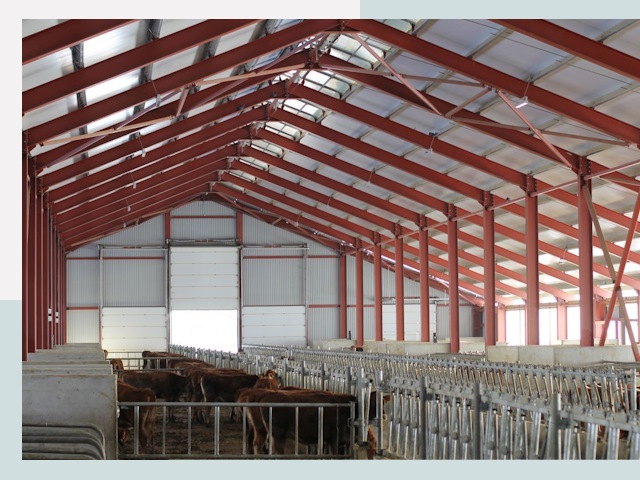 Строительство коровников в Владивостоке