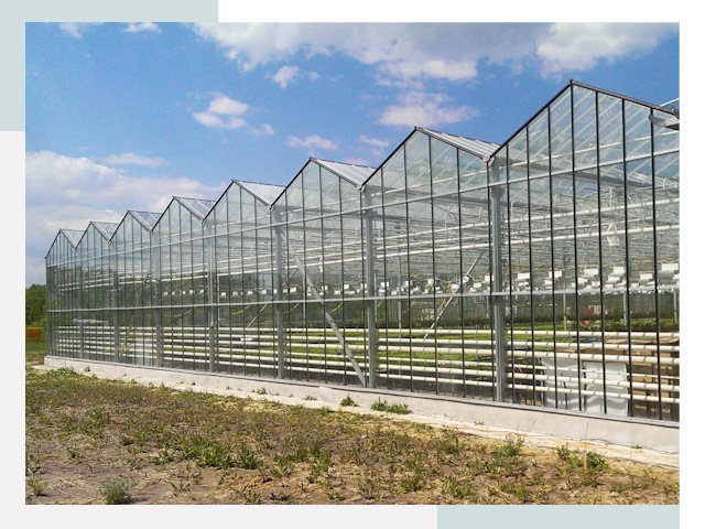 Строительство теплиц в Владивосток от 610 руб. за м²